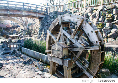 明るい日差しの下の石畳が敷かれた細い水路　東京の王子の音無親水公園 134305549