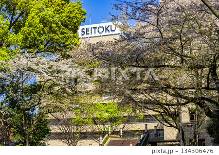 聖徳大学 134306476
