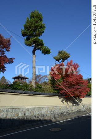 旧三井家下鴨別邸 主屋の望楼遠望 京都市左京区鴨宮河町 旧三井家下鴨別邸 主屋の望楼遠望 京都市左京区鴨宮河町 134307818