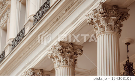 Classical architecture elements with decorative columns. 134308105