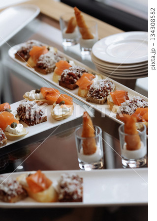 Gourmet appetizers with salmon on serving plates 134308582