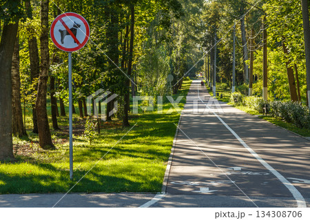 No Dogs Allowed Sign on Paved Path in Peaceful Park 134308706