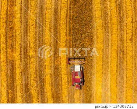 Combine harvester working in serene rural agricultural field Combine harvester working in serene rural agricultural field 134308715