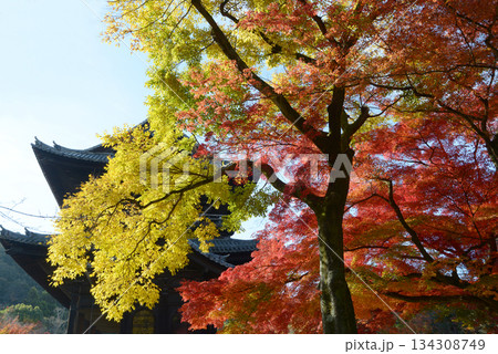 南禅寺 三門と紅葉 京都市左京区南禅寺福地町 南禅寺 三門と紅葉 京都市左京区南禅寺福地町 134308749