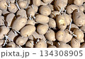 Potatoes with sprouts in storage 134308905