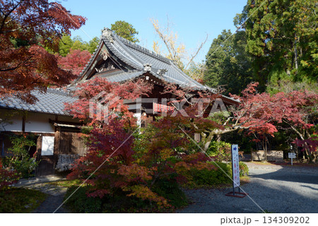 赤山禅院　地蔵堂の紅葉　京都市左京区 134309202