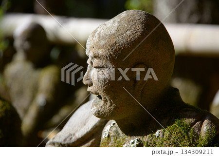 赤山禅院　十六羅漢石像　京都市左京区 134309211