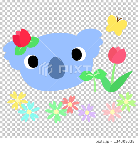 可愛いコアラのマーク　春のチューリップ 134309339