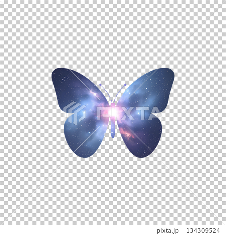 Space Butterfly Silhouette (PNG) 134309524