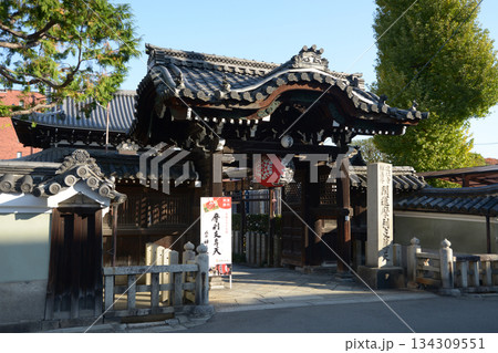禅居庵 山門 京都市東山区小松町 禅居庵 山門 京都市東山区小松町 134309551
