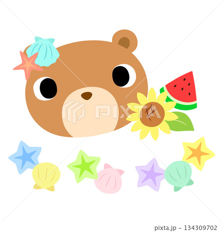 可愛いクマのマーク　夏の貝殻 134309702