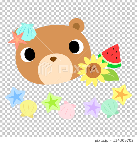 可愛いクマのマーク　夏の貝殻 134309702