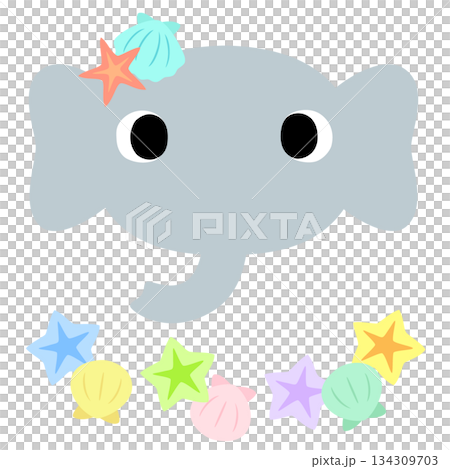 可愛いゾウのマーク　夏の貝殻 134309703