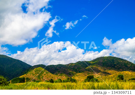 Serene landscape of mountains under a cloudy sky in Kyrgyzstan Serene landscape of mountains under a cloudy sky in Kyrgyzstan 134309711