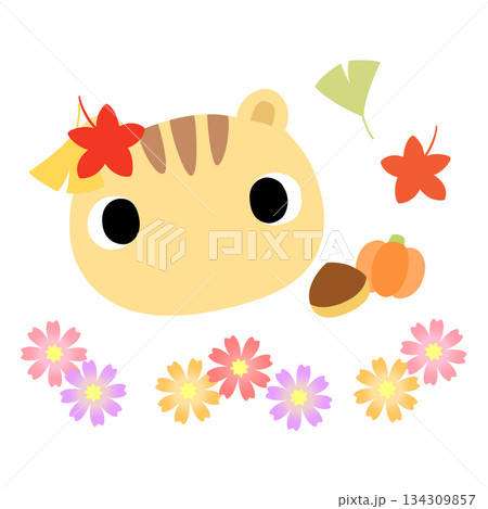 可愛いリスのマーク　秋の紅葉 134309857