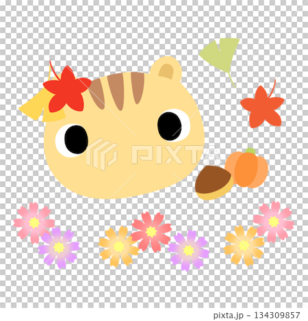 可愛いリスのマーク　秋の紅葉 134309857