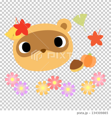 Cute raccoon mark Autumn leaves Cute raccoon mark Autumn leaves 134309865