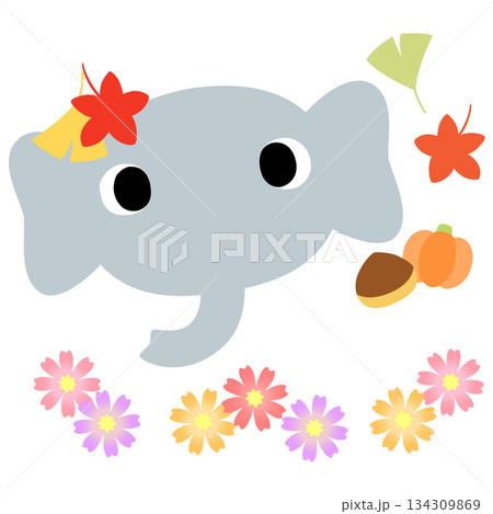 可愛いゾウのマーク　秋の紅葉 134309869