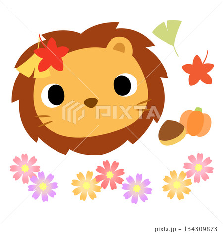 可愛いライオンのマーク 秋の紅葉 可愛いライオンのマーク 秋の紅葉 134309873