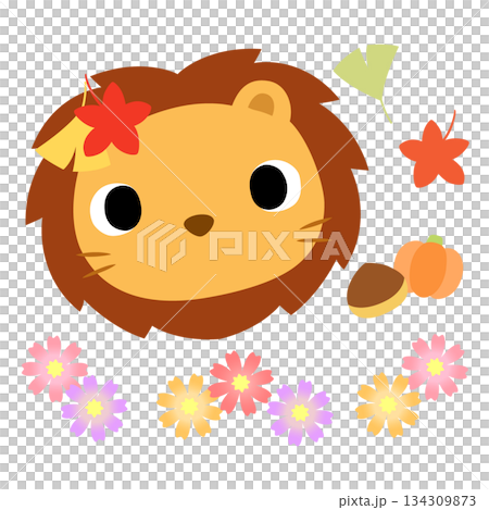 可愛いライオンのマーク 秋の紅葉 可愛いライオンのマーク 秋の紅葉 134309873