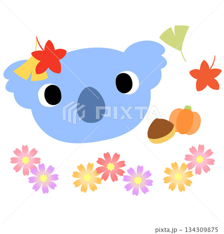 可愛いコアラのマーク　秋の紅葉 134309875