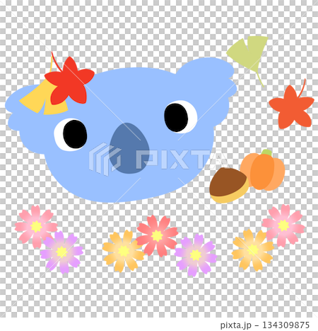 可愛いコアラのマーク　秋の紅葉 134309875