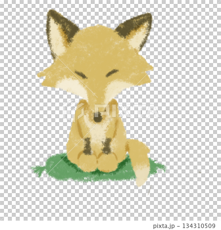 座布団に正座するきつねのイラスト 座布団に正座するきつねのイラスト 134310509
