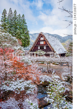 雪化粧した下呂温泉合掌村《岐阜県下呂市》 134310877