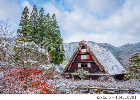 雪化粧した下呂温泉合掌村《岐阜県下呂市》 134310881