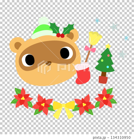 Cute raccoon mark winter Christmas 134310950