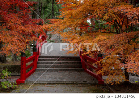 大洞院の紅葉と赤い橋 大洞院の紅葉と赤い橋 134311456