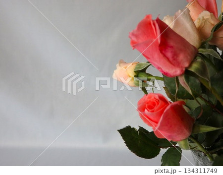 花瓶に生けたバラの花 花瓶に生けたバラの花 134311749