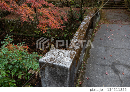 大洞院の紅葉風景 大洞院の紅葉風景 134311823