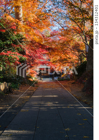石畳と紅葉 石畳と紅葉 134312401