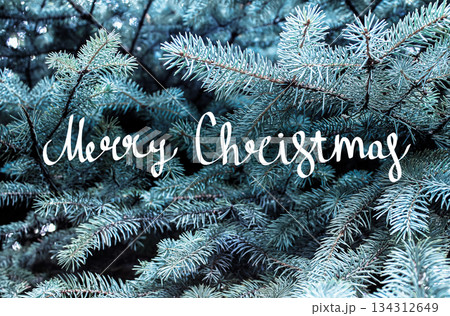 Handwritten Christmas greetings on a photo with space for text 134312649