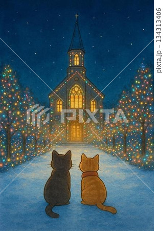 クリスマスの夜、雪が降る夜の教会と猫 クリスマスの夜、雪が降る夜の教会と猫 134313406