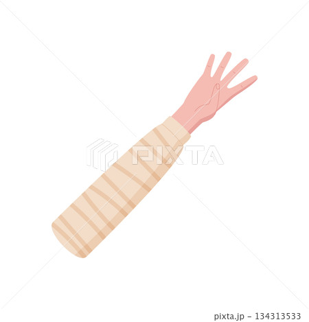 Flat cartoon graphic style hand gesture. Human hand with four fingers raised, palm visible, expressing number 4. Clothed arm with sleeve, isolated element for math education or preschool activities. 134313533
