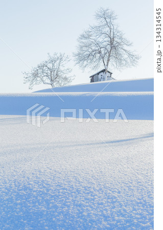 新潟県小千谷市 雪陰の丘 新潟県小千谷市 雪陰の丘 134314545