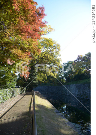 二条城 北の外堀と紅葉 京都市中京区二条城町 二条城 北の外堀と紅葉 京都市中京区二条城町 134314593