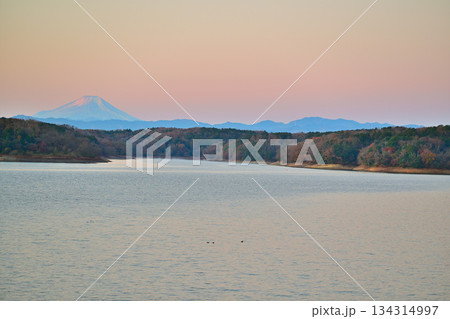 富士山 初冬 冠雪 朝焼け 狭山湖畔からの眺め 富士山 初冬 冠雪 朝焼け 狭山湖畔からの眺め 134314997