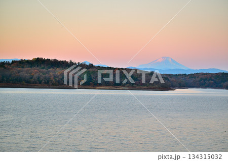 富士山　初冬　冠雪　朝焼け　狭山湖畔からの眺め 134315032
