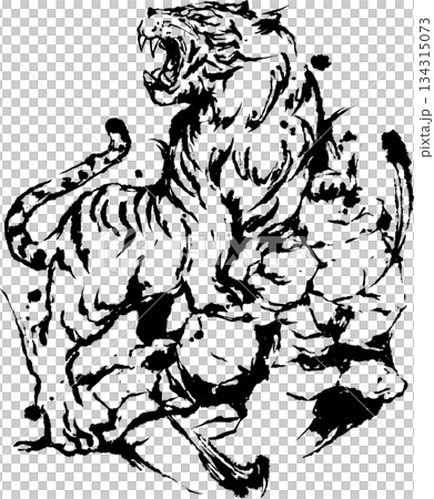 Tiger ink painting illustration 134315073