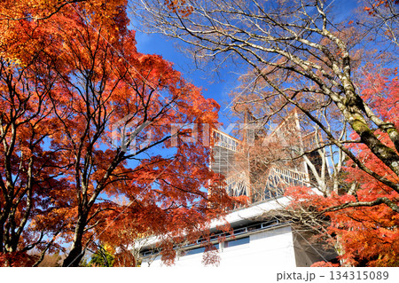 能勢妙見山(信徒会館「星嶺」) 【大阪府豊能郡能勢町】 能勢妙見山(信徒会館「星嶺」) 【大阪府豊能郡能勢町】 134315089