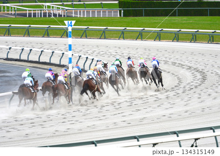 冬の中京ダートレース 冬の中京ダートレース 134315149