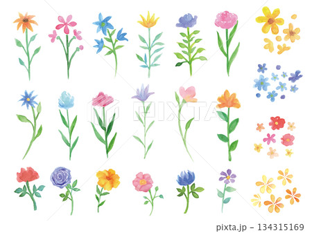 水彩手描きの花の素材22点セット 水彩手描きの花の素材22点セット 134315169