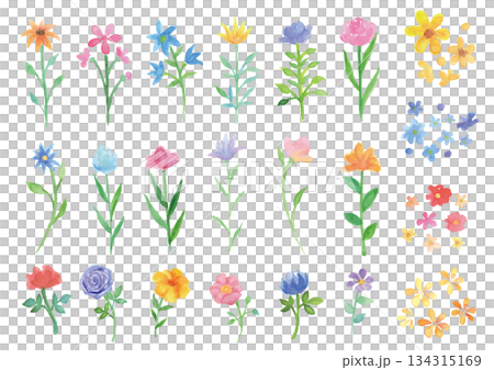 22件水彩手繪花卉材料 134315169