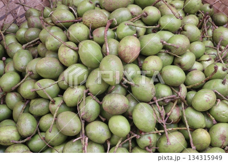 Elaeocarpus serratus also known Ceylon olive on shop Elaeocarpus serratus also known Ceylon olive on shop 134315949