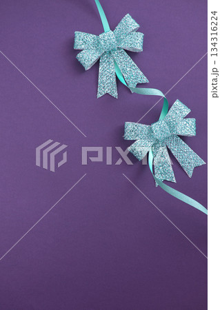 Butterfly ribbon knot and copy space Butterfly ribbon knot and copy space 134316224