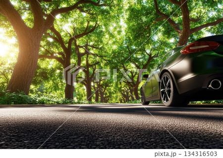 Summer Drive on a Serene Tree-Lined Road with a Black Car and Beautiful Natural Light Summer Drive on a Serene Tree-Lined Road with a Black Car and Beautiful Natural Light 134316503
