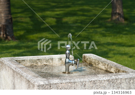 公園の水飲み場にある水飲みの蛇口 134316963